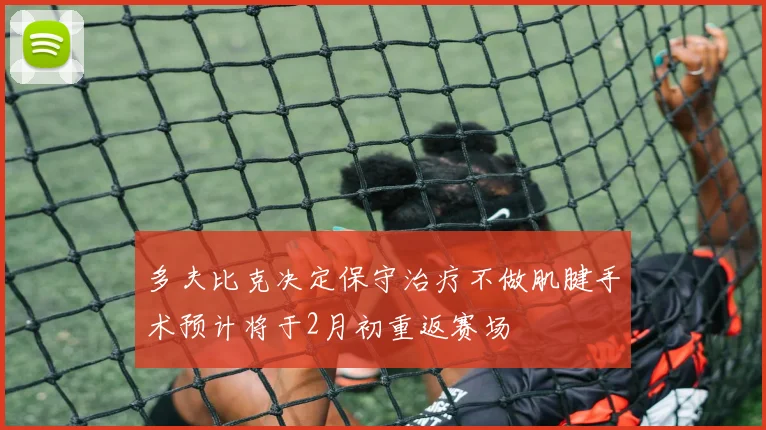 多夫比克决定保守治疗不做肌腱手术预计将于2月初重返赛场