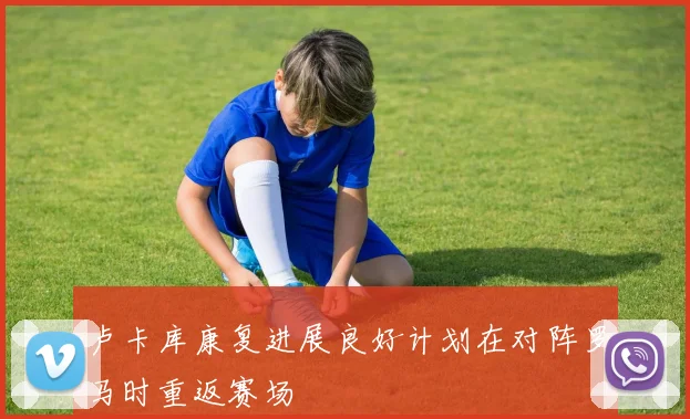 卢卡库康复进展良好计划在对阵罗马时重返赛场