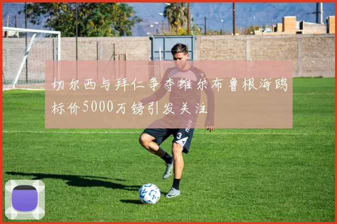 切尔西与拜仁争夺维尔布鲁根海鸥标价5000万镑引发关注