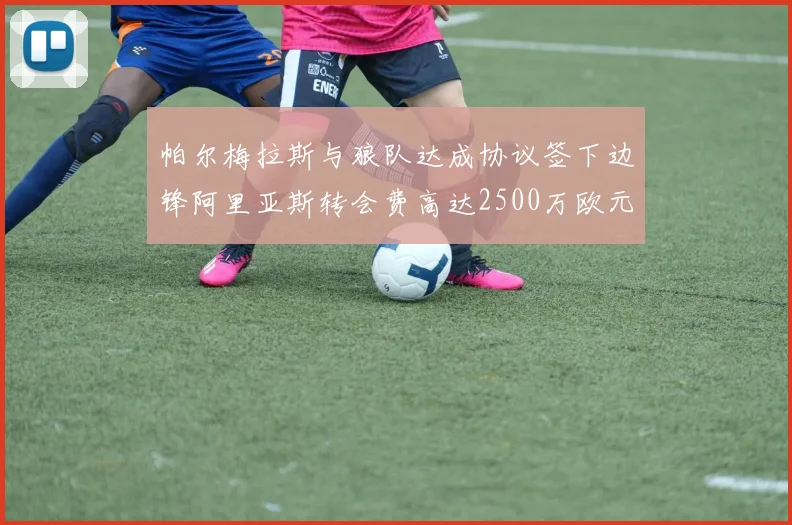 帕尔梅拉斯与狼队达成协议签下边锋阿里亚斯转会费高达2500万欧元
